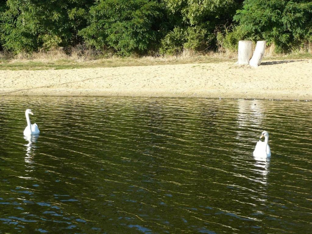 Villa Osrodek Wypoczynkowy Sielawa Chrzypsko Wielkie Esterno foto